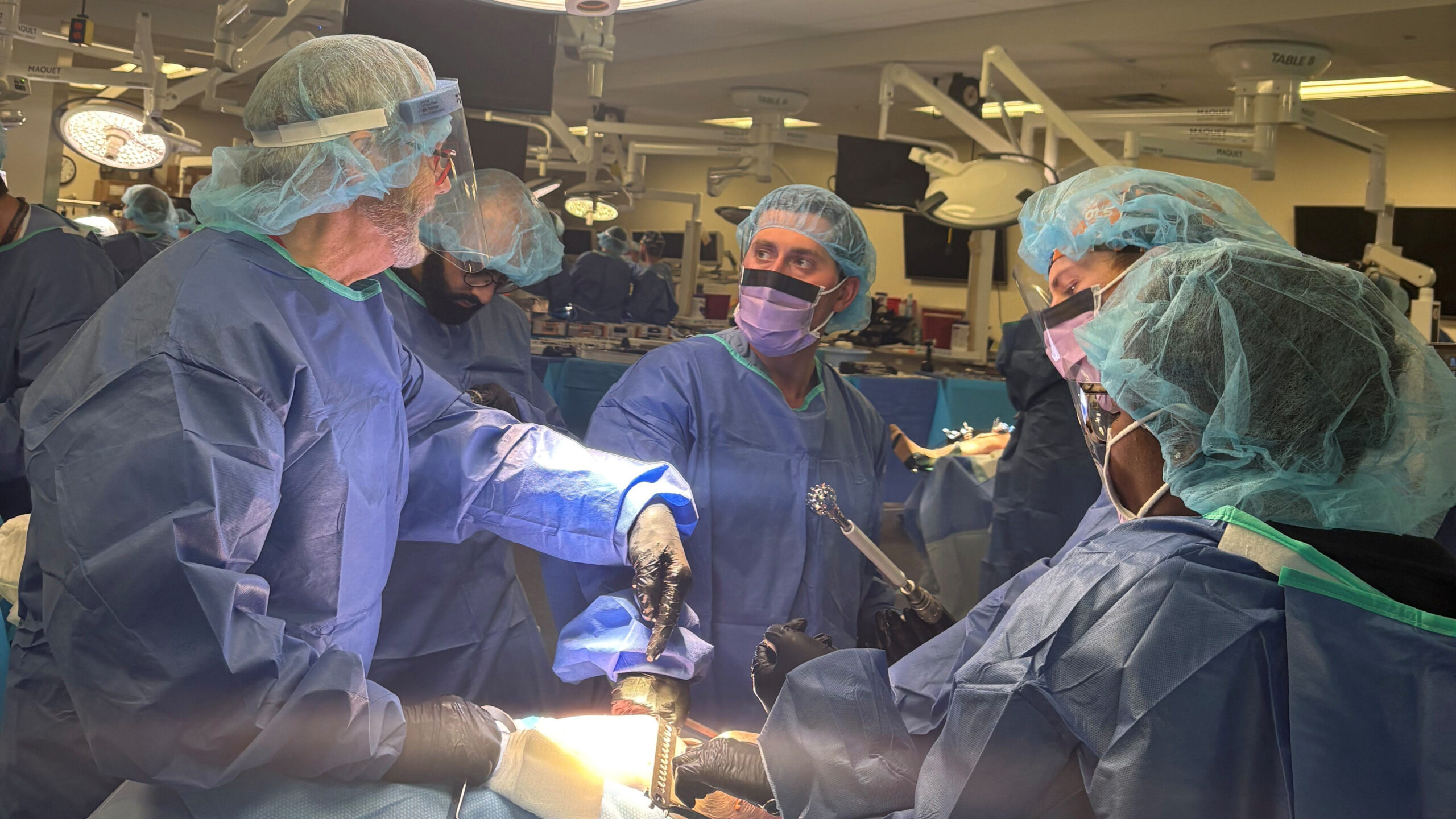 Read more about the article New Campbell Clinic Adult Recon Fellowships Starting 2028Applications Accepted Fall 2026